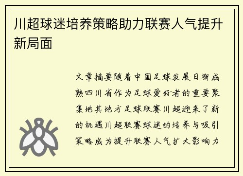 川超球迷培养策略助力联赛人气提升新局面